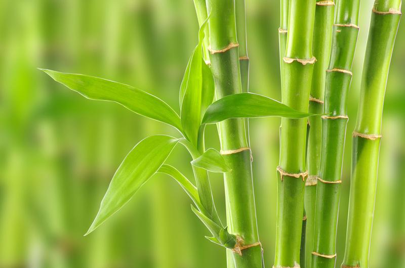 Premiere剪辑师的理念与法则，PR视频剪辑从入门到精通