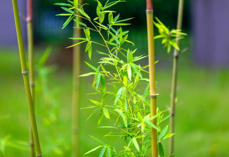 大数据流处理的源码级讲解，Flink内核架构的手术刀式剖析