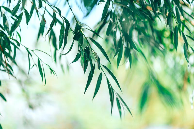 Premiere剪辑师的理念与法则，PR视频剪辑从入门到精通