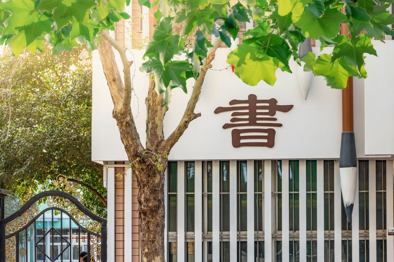 快速学会爬取任何网站数据，Python超强爬虫技术案例实战