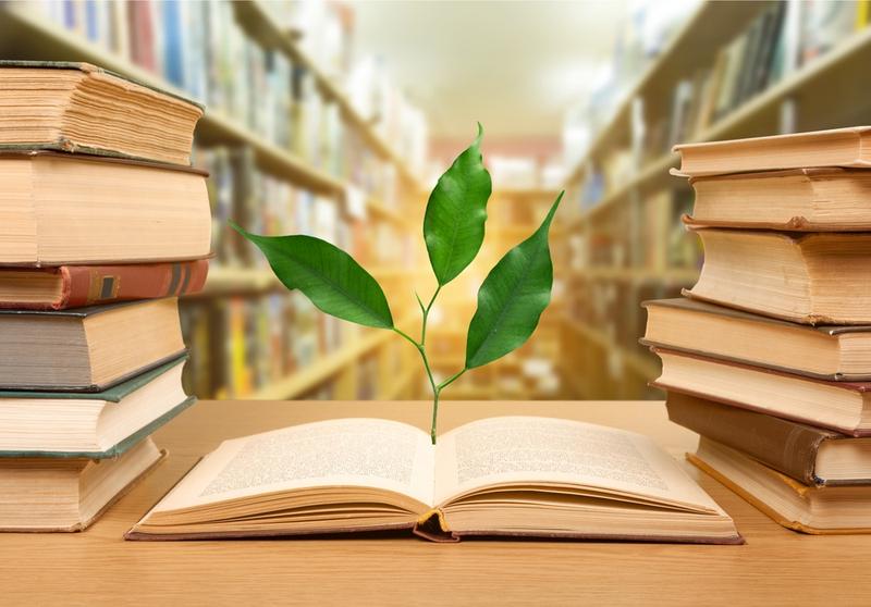 从零开始学Java编程，Java开发基础与入门